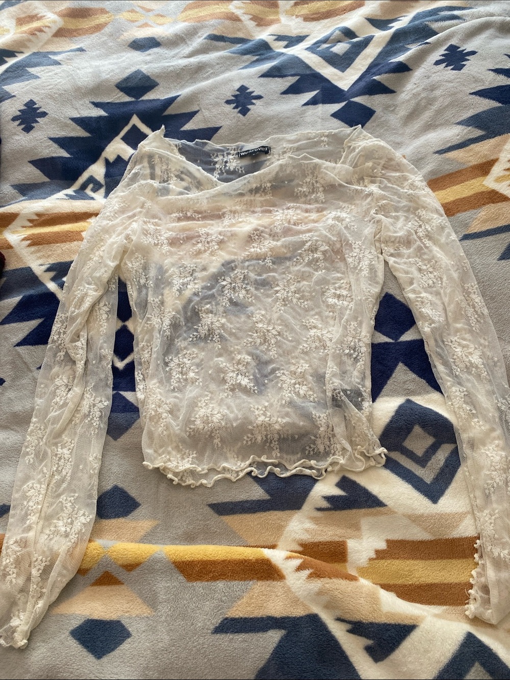 Sheer Lace Long-Sleeve Crop Top - Cream NWOT